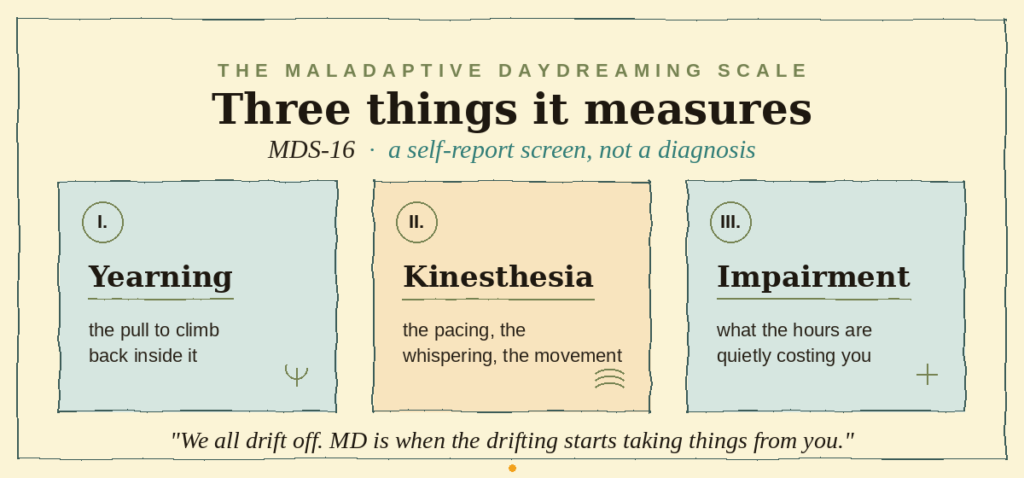 Card showing the three things the maladaptive daydreaming scale measures — yearning, kinesthesia, and impairment